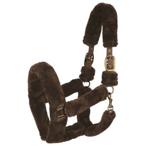 Waldhausen Halfter Cozy Braun VB | kavalio - für mich und mein Pferd