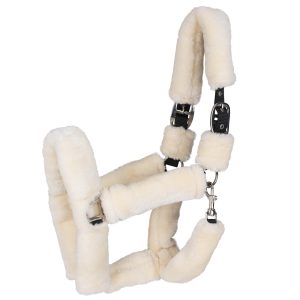 Waldhausen Halfter Cozy Creme WB | kavalio - für mich und mein Pferd