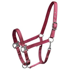 Waldhausen Halfter Gloomy Bordeaux WB | kavalio - für mich und mein Pferd