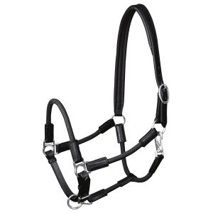 Waldhausen Halfter Nevada Schwarz/Silber Pony | kavalio - für mich und mein Pferd