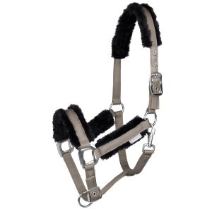 Waldhausen Halfter Pegasus Beige WB | kavalio - für mich und mein Pferd