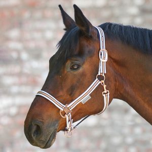 Waldhausen Halfter Shine Weiß/Rosé WB | kavalio - für mich und mein Pferd