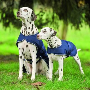 Waldhausen Hundedecke 0g Regendecke Marine 40 cm | kavalio - für mich und mein Pferd