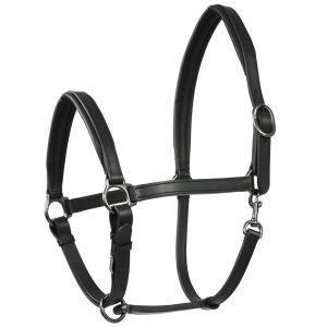 Waldhausen Lederhalfter Finesse II Schwarz WB | kavalio - für mich und mein Pferd