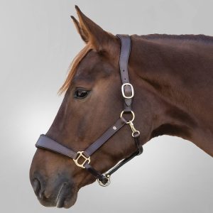 Waldhausen Lederhalfter X-Line Anatomic Braun WB | kavalio - für mich und mein Pferd