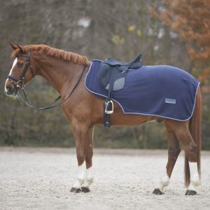 Waldhausen Nierendecke 0g Fleece Economic Nachtblau WB | kavalio - für mich und mein Pferd