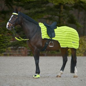 Waldhausen Nierendecke Reflex Leuchtdecke Neon Gelb | kavalio - für mich und mein Pferd