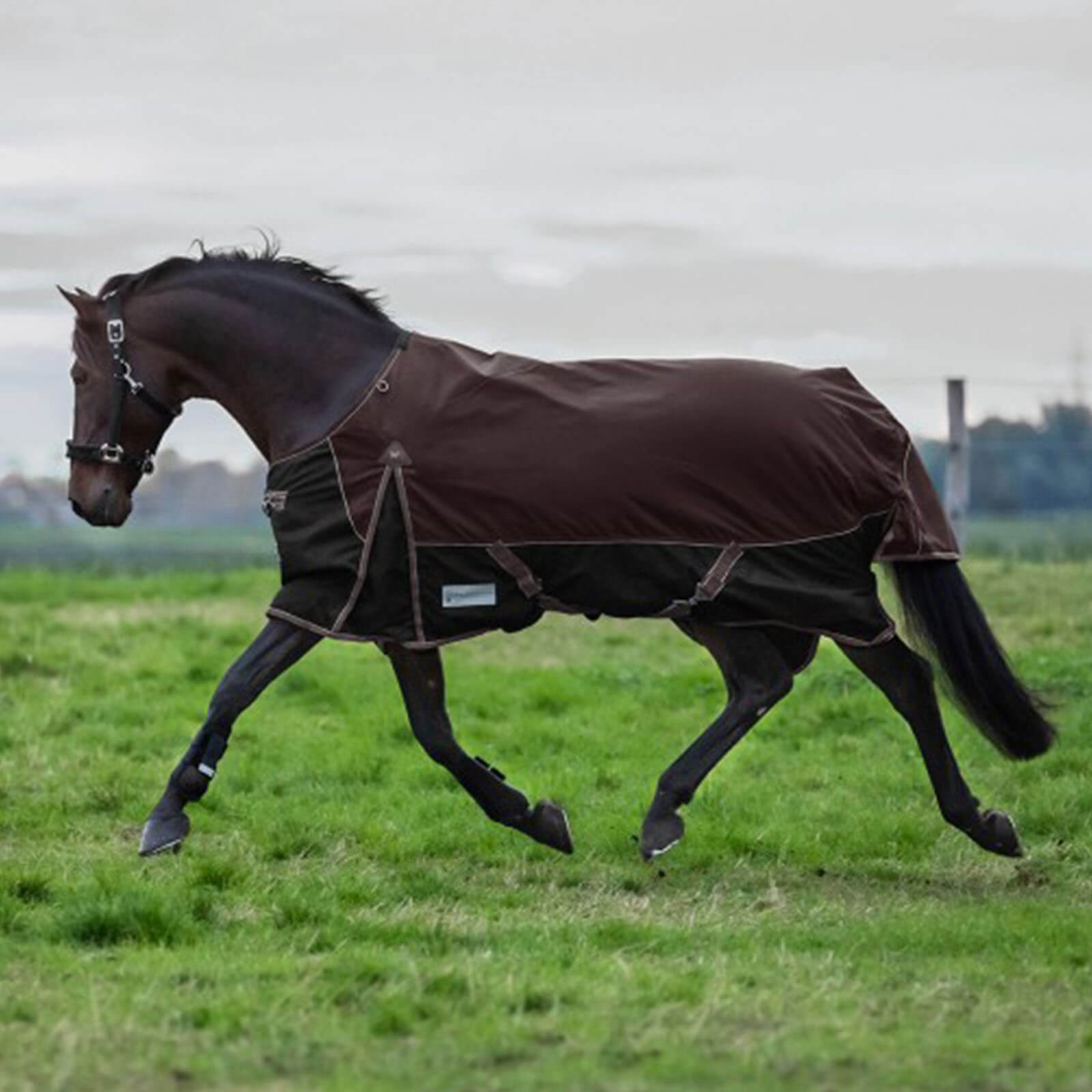 Waldhausen Outdoordecke 0g Comfort Fleece Regendecke Kastanienbraun/ Schwarz 145 cm | kavalio - für mich und mein Pferd