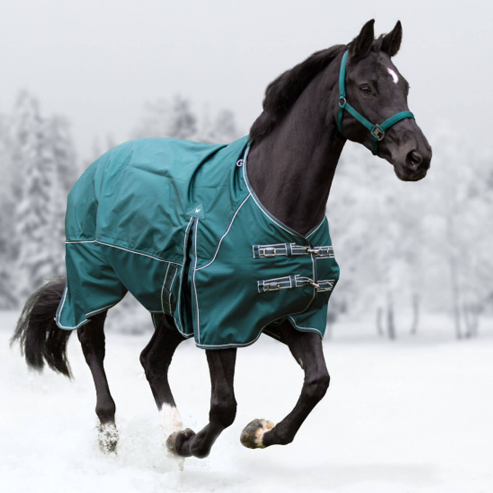 Waldhausen Outdoordecke 0g Comfort Fleece Regendecke Tannengrün 135 cm | kavalio - für mich und mein Pferd