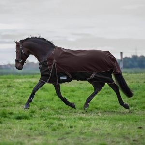 Waldhausen Outdoordecke 0g Comfort Light Regendecke Kastanienbraun/ Schwarz 125 | kavalio - für mich und mein Pferd