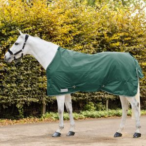 Waldhausen Outdoordecke 0g Economic Regendecke Tannengrün 135 cm | kavalio - für mich und mein Pferd