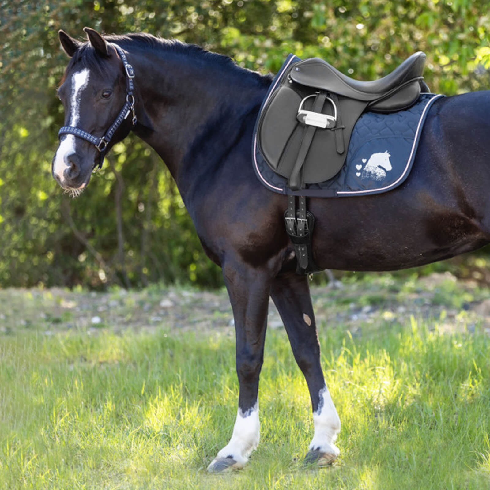 Waldhausen Schabracke Lucky Heart Nachtblau | kavalio - für mich und mein Pferd – Bild 2