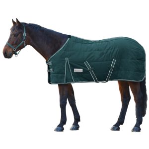 Waldhausen Stalldecke 200g Economic Tannengrün 145 cm | kavalio - für mich und mein Pferd