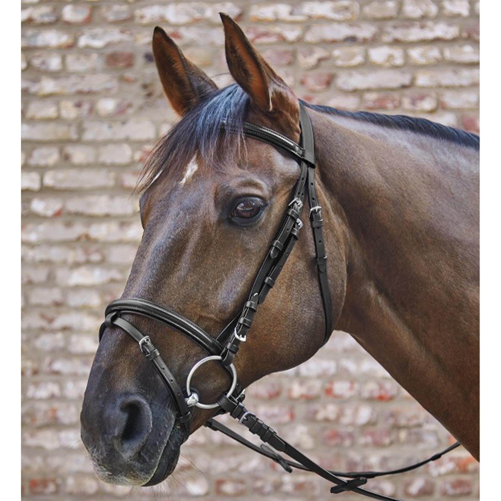 Waldhausen Trensenzaum Star Basic Schwarz WB | kavalio - für mich und mein Pferd