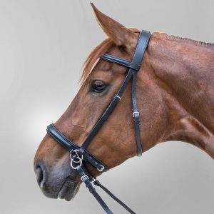 Waldhausen Trensenzaum Star Gebisslos Sidepull Schwarz WB | kavalio - für mich und mein Pferd