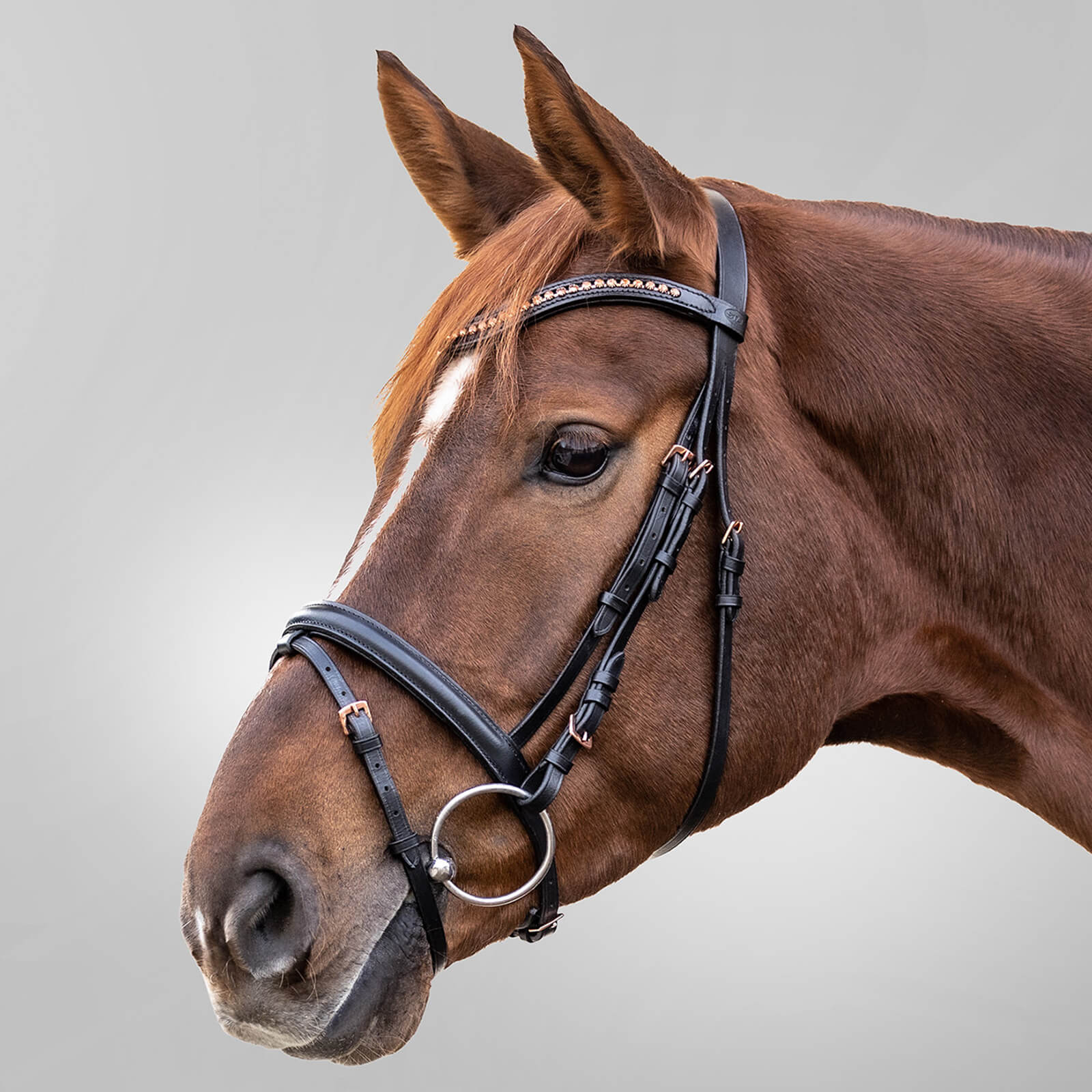 Waldhausen Trensenzaum Star Rosemary Schwarz | kavalio - für mich und mein Pferd – Bild 2