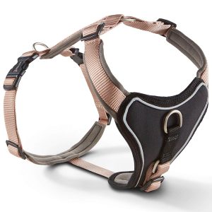 Wolters Geschirr Professional Comfort Hundegeschirr Champagner/Trüffel 3 | kavalio - für mich und mein Pferd