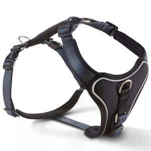 Wolters Geschirr Professional Comfort Hundegeschirr Graphit/Schwarz 1 | kavalio - für mich und mein Pferd