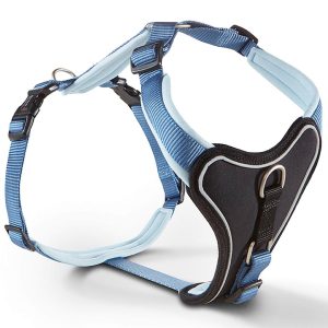 Wolters Geschirr Professional Comfort Hundegeschirr Riverside Blue/Sky Blue 4 | kavalio - für mich und mein Pferd