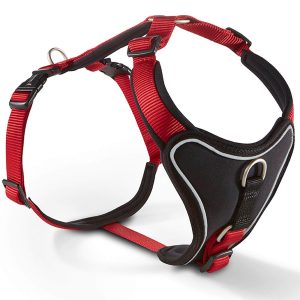 Wolters Geschirr Professional Comfort Hundegeschirr Rot/Schwarz 1 | kavalio - für mich und mein Pferd