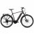 GIANT DailyTour E+ 3 E-City Fahrrad 230322219 Gr. L