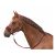 Horse-friends Halfter-Set Rouen
