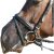 BUSSE Nüsternschutz Fly Protector Schwarz WB | kavalio – für mich und mein Pferd