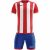 Zeus Icon Teamwear Set Trikot mit Shorts rot weiß Gr. 140 2XS/XS