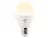 LIFX Mini White E27 für nur 15,98€ inkl. Versand statt 25,87€