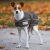 Waldhausen Hundedecke 200g Comfort Line Asphalt 35 cm | kavalio – für mich und mein Pferd